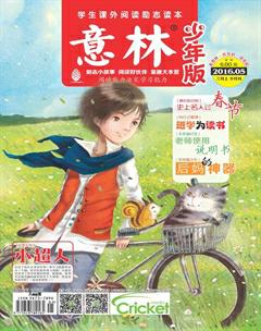 意林·少年版2016年5期