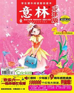 意林·少年版2016年13期