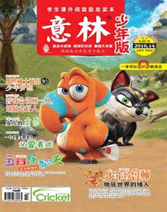 意林·少年版2016年14期
