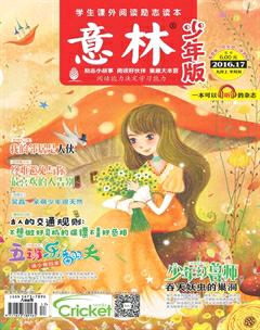 意林·少年版2016年17期