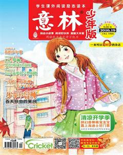 意林·少年版2016年19期