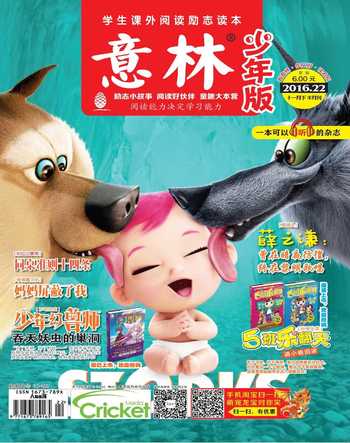 意林·少年版2016年22期