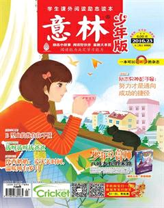 意林·少年版2016年23期