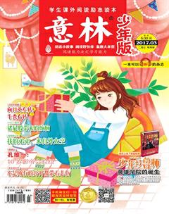 意林·少年版2017年3期
