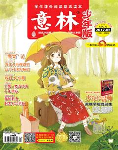 意林·少年版2017年5期