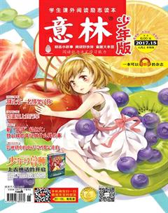 意林·少年版2017年15期
