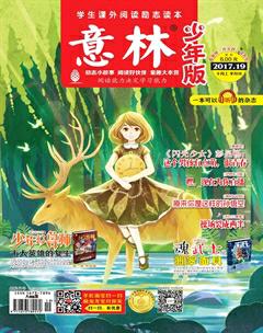 意林·少年版2017年19期