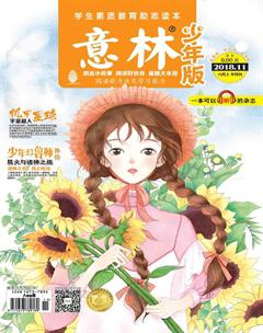 意林·少年版2018年11期