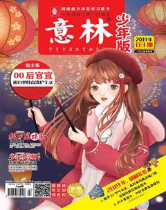 意林·少年版2019年3期