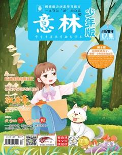 意林·少年版2020年17期