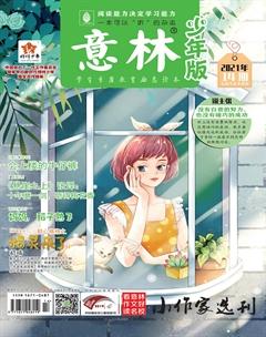 意林·少年版2021年14期