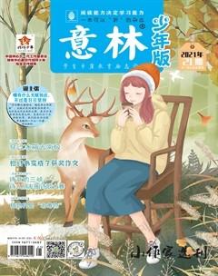 意林·少年版2021年21期