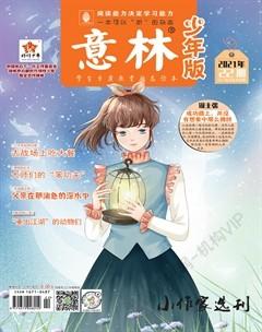 意林·少年版2021年22期