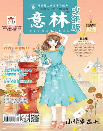 意林·少年版2022年10期
