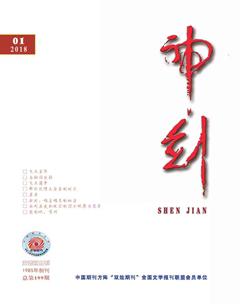 神剑2018年1期