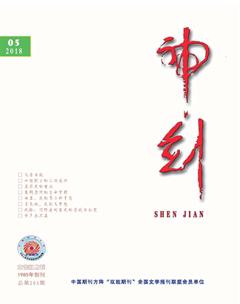 神剑2018年5期