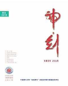 神剑2019年3期