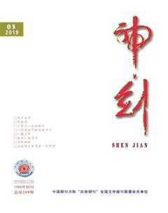 神剑2019年5期