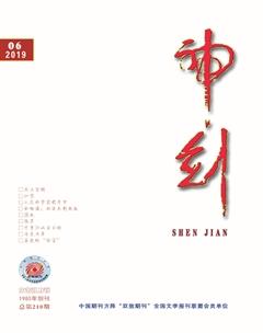 神剑2019年6期