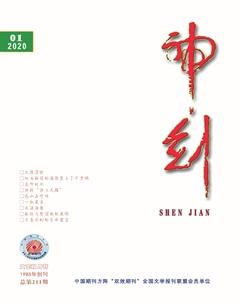 神剑2020年1期