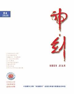 神剑2020年4期