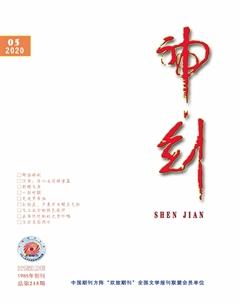 神剑2020年5期