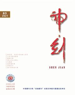 神剑2021年5期