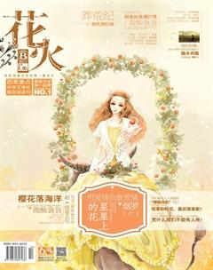 花火B2013年5期