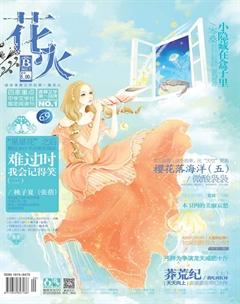 花火B2013年6期