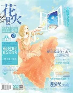 花火B2013年7期