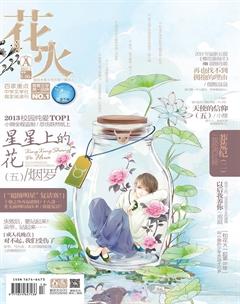 花火A2013年5期