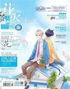 花火A2013年6期