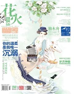 花火B2013年11期