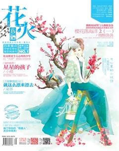花火B2013年12期