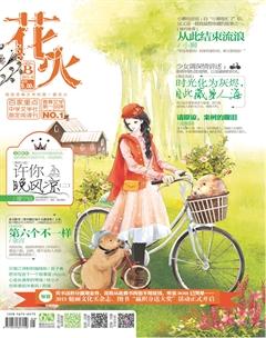 花火B2015年2期
