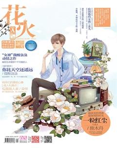 花火A2013年11期