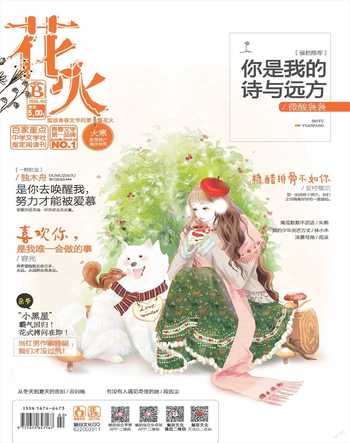 花火B2016年1期
