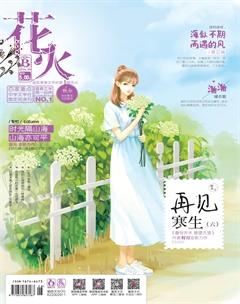 花火B2016年9期
