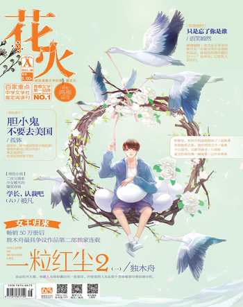花火A2015年6期