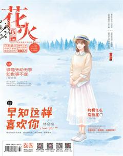 花火B2016年11期