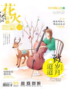 花火B2016年12期