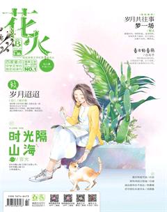 花火B2017年1期