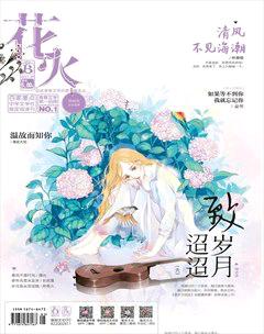 花火B2017年2期