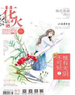 花火B2017年3期