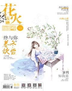 花火B2017年4期