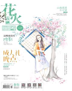 花火B2017年5期
