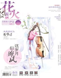 花火B2017年6期