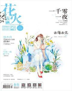 花火B2017年7期