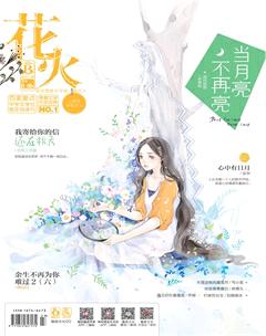 花火B2017年8期