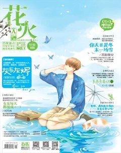 花火A2016年3期